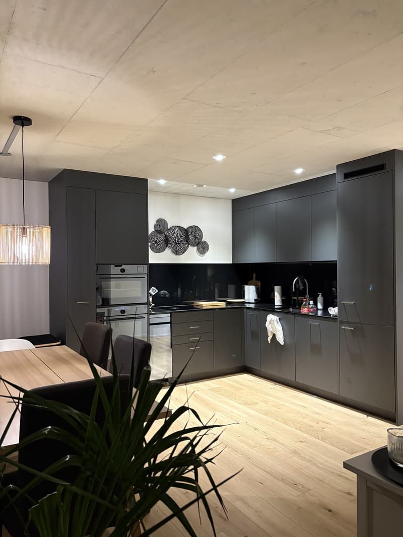 Nachmieter gesucht! Moderne Wohnung per sofort zu vermieten (2)