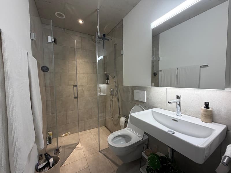 Nachmieter gesucht! Moderne Wohnung per sofort zu vermieten (8)