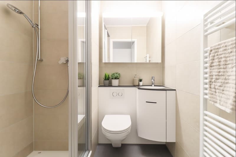 Gepflegte 2.5-Zimmer-Wohnung mit Balkon in Spreitenbach ab 1. November (5)