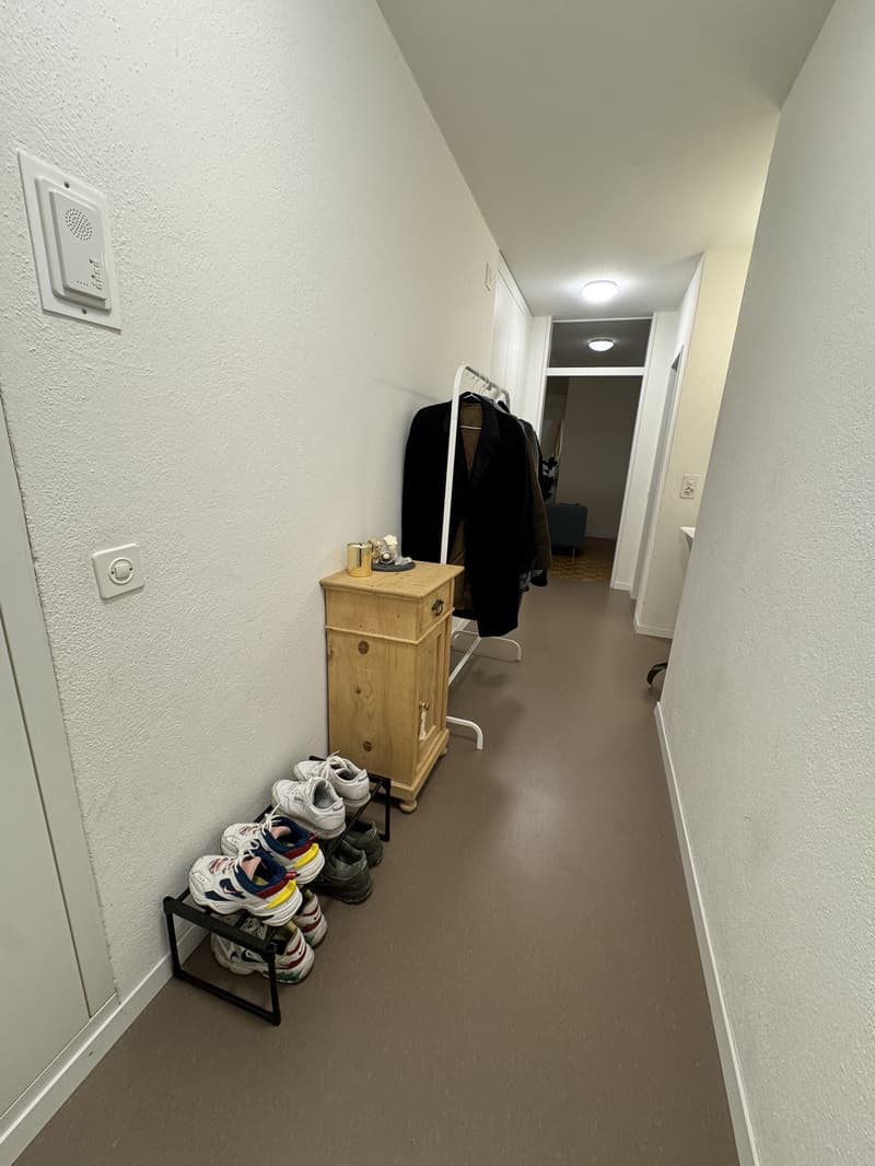 Helle und gemütliche 2.5-Zimmer-Wohnung zur Untermiete (3)