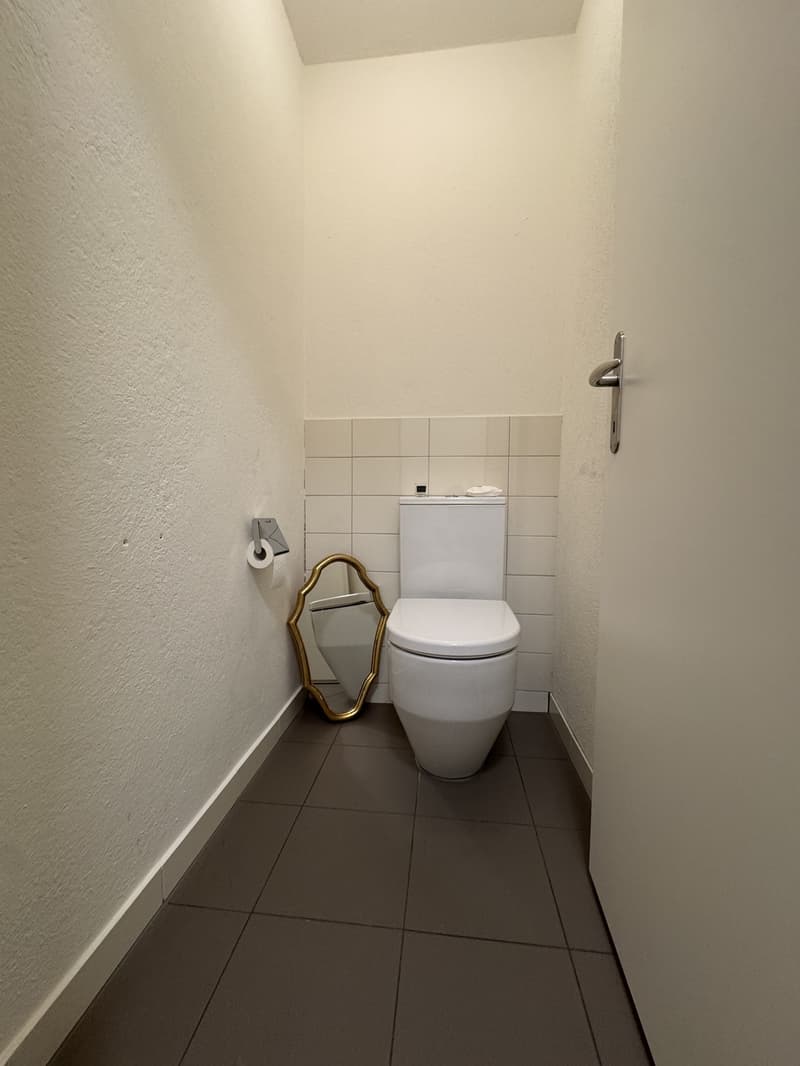 Helle und gemütliche 2.5-Zimmer-Wohnung zur Untermiete (2)