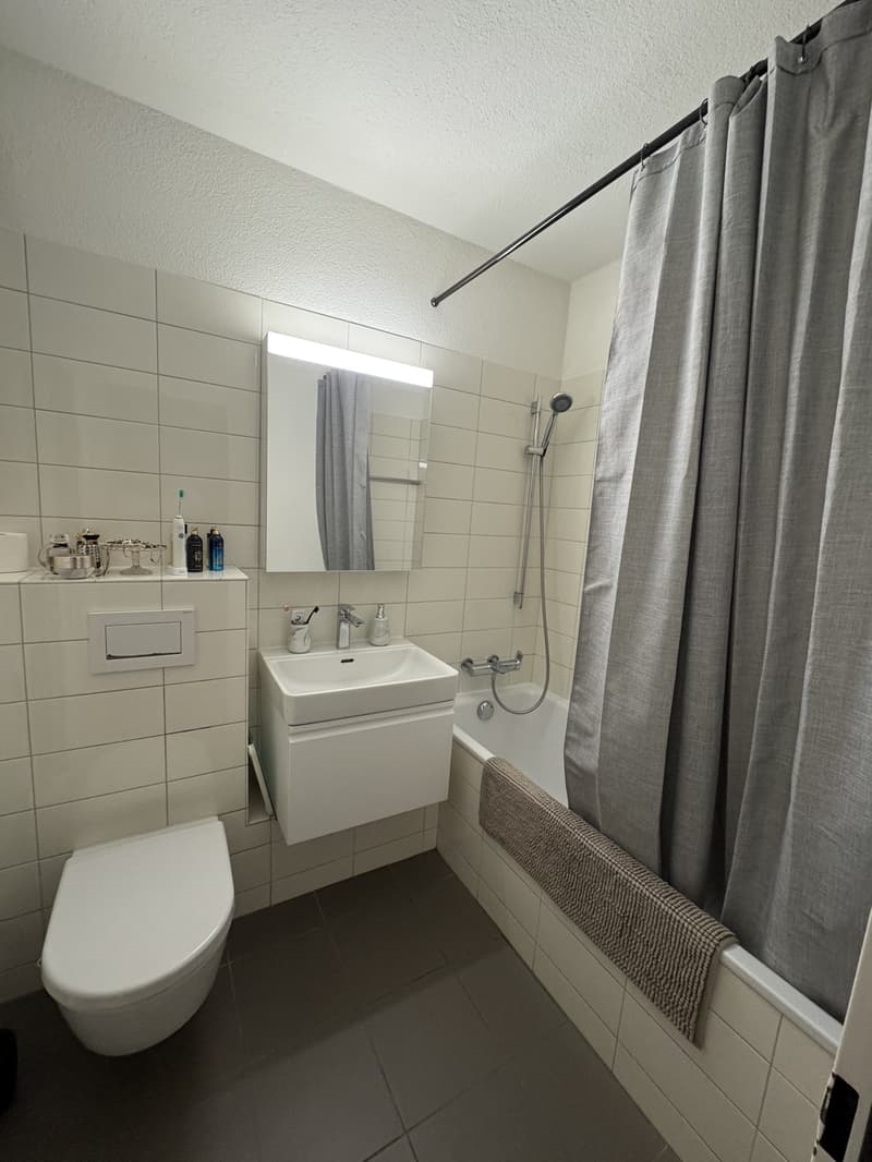 Helle und gemütliche 2.5-Zimmer-Wohnung zur Untermiete (6)