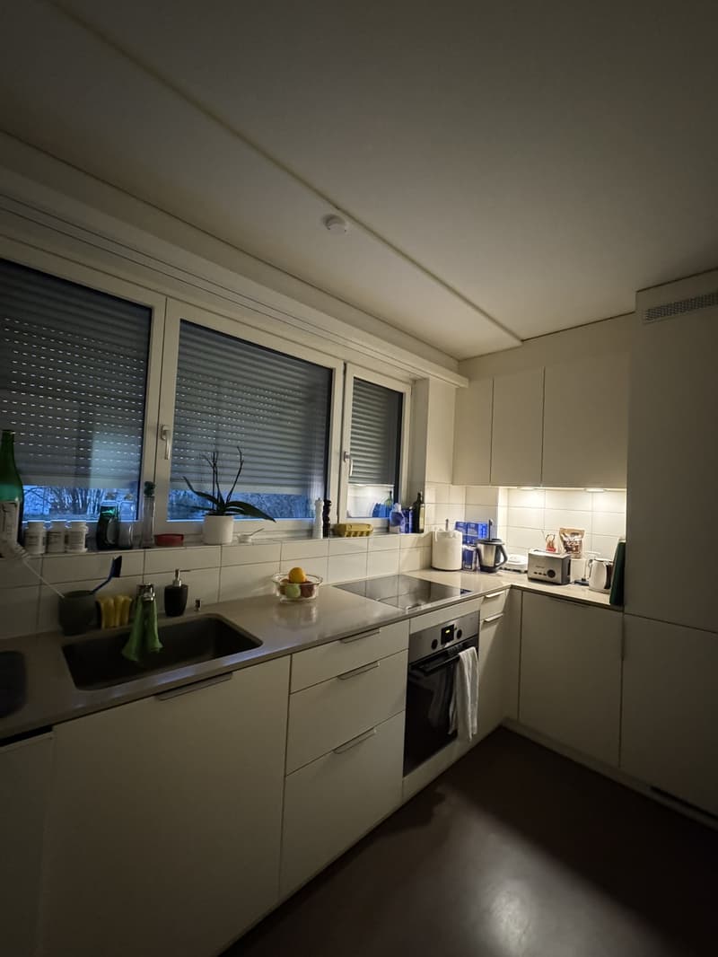 Helle und gemütliche 2.5-Zimmer-Wohnung zur Untermiete (4)
