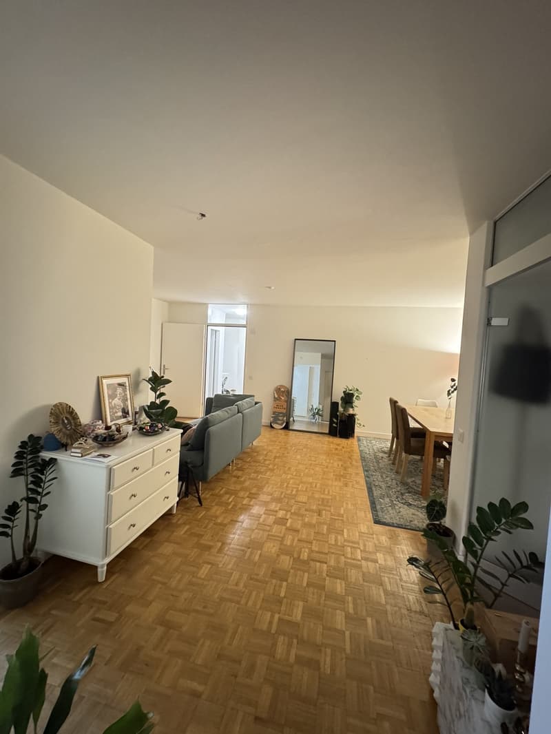 Helle und gemütliche 2.5-Zimmer-Wohnung zur Untermiete (7)