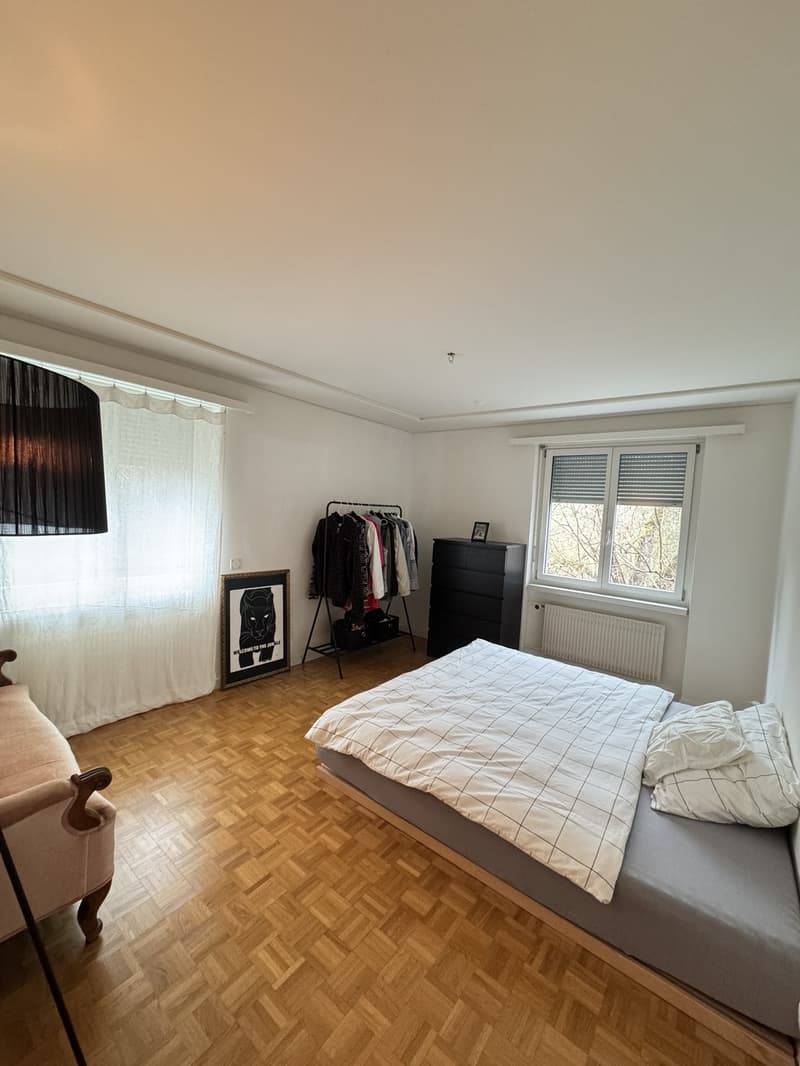 Helle und gemütliche 2.5-Zimmer-Wohnung zur Untermiete (5)