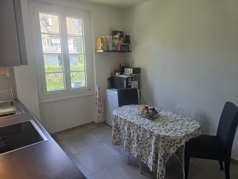 Family Apartment in Pully (lease takeover November 15th) (4)