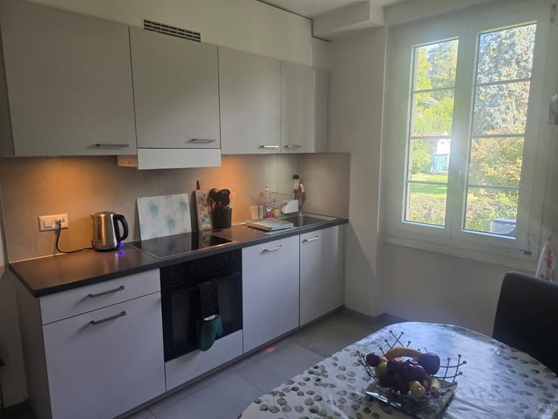Family Apartment in Pully (lease takeover November 15th) (8)