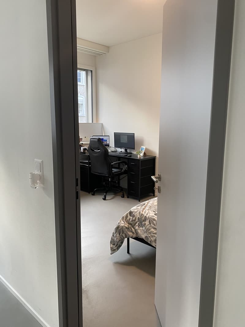 2.5 Zimmer in zentraler Lage in St. Gallen (4)