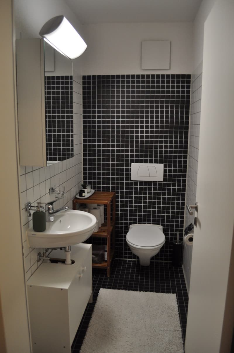 Room in a shared flat in Oerlikon (6)