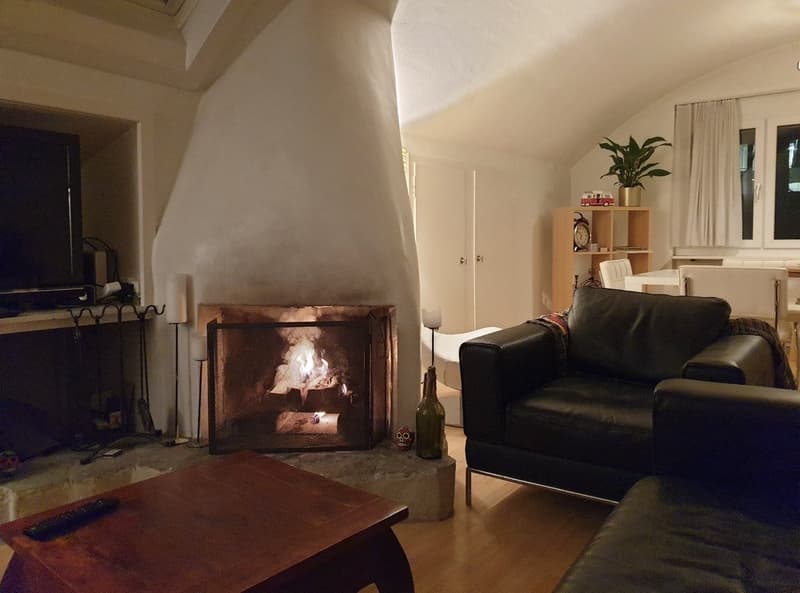 Furnished 80 m² flat in Seefeld, 30 seconds from the lake, all bills included (3)