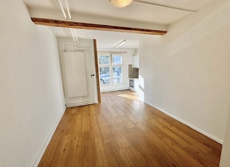 Helle 1 Zimmer Wohnung (3)