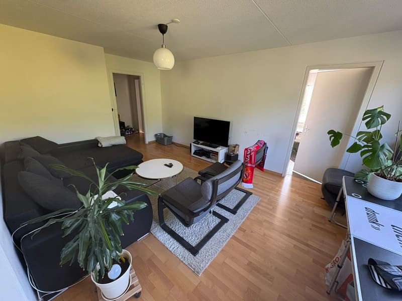 Wg Zimmer befristet (4)