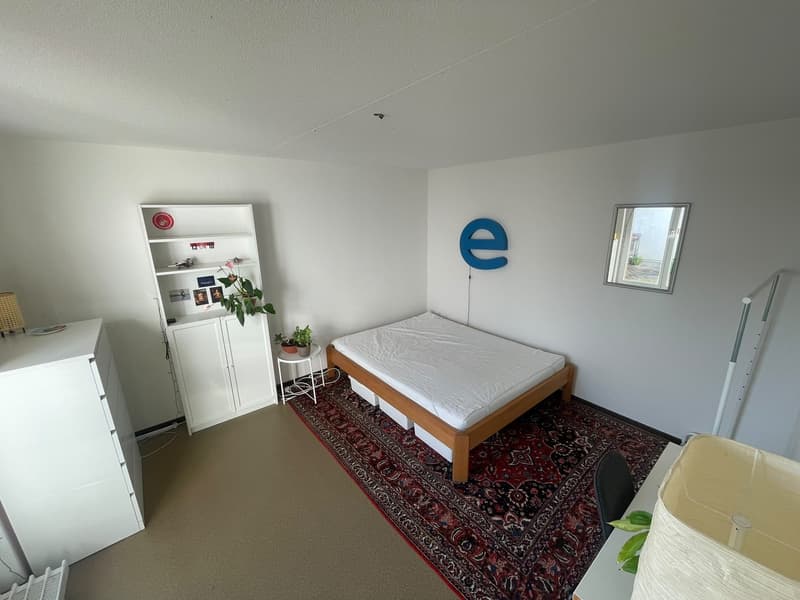 Wg Zimmer befristet (1)