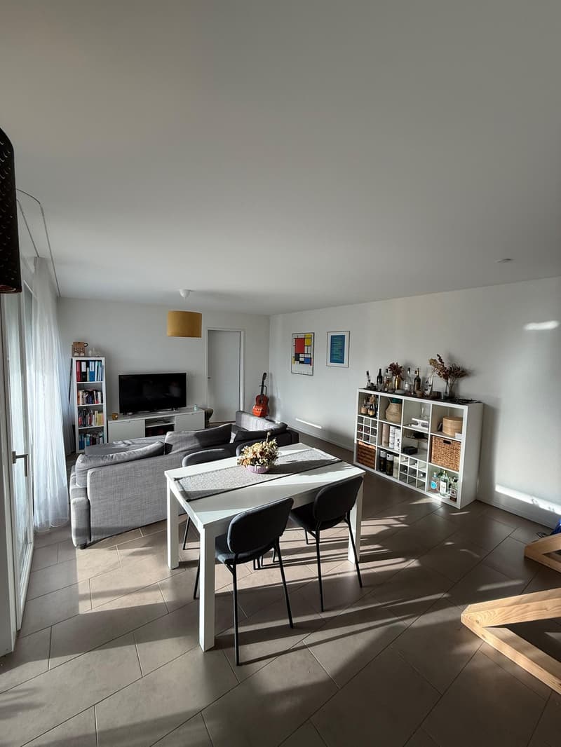 Appartement 2.5 pièces (1)