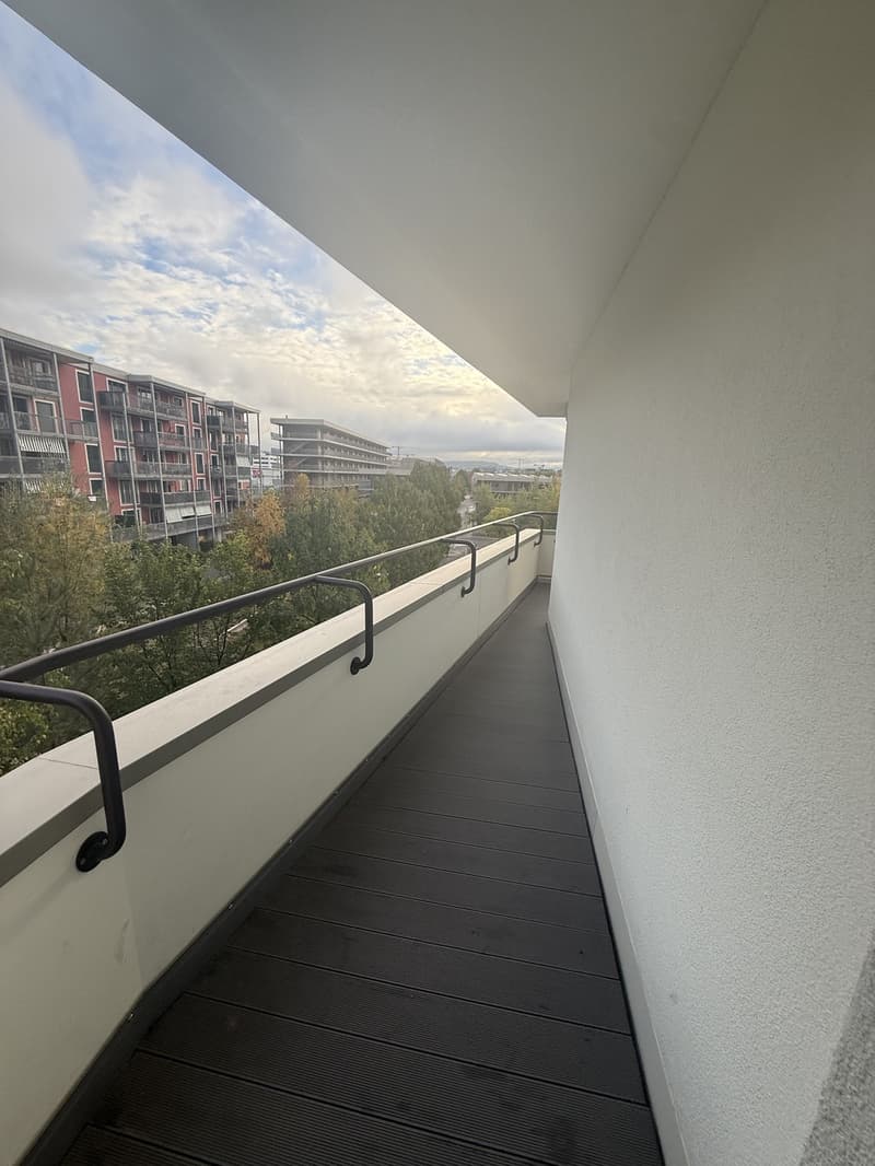 WG Zimmer in Schlieren zu vermieten (4)