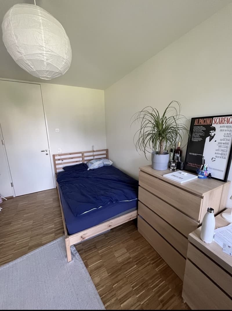 Room in a flat share available now (1)
