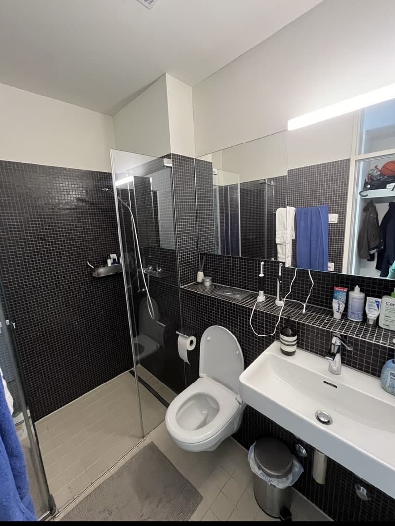 Room in a flat share available now (5)