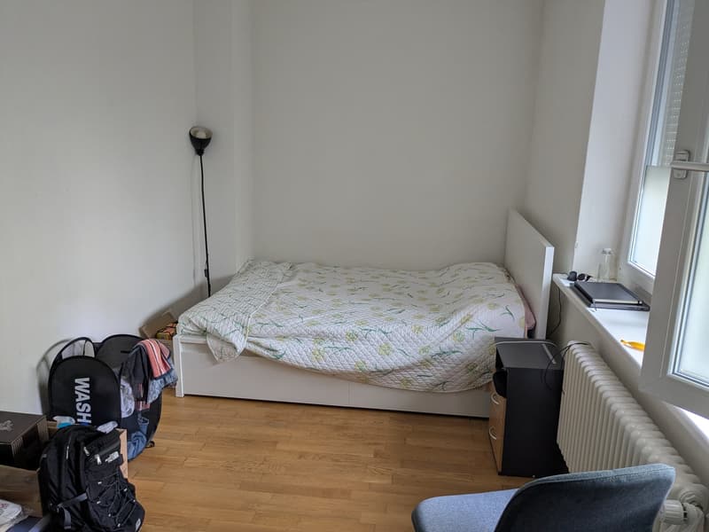 Room in central Zurich - great location & friendly flatshare (1)