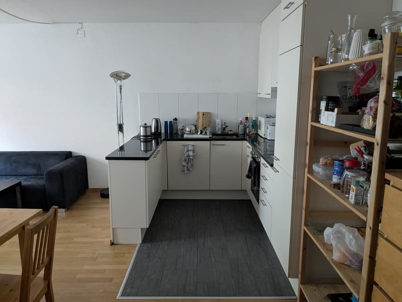 Room in central Zurich - great location & friendly flatshare (4)