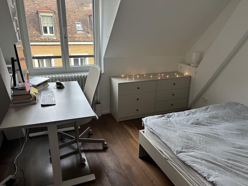 Cosy apartment for rent in central Zürich (6)