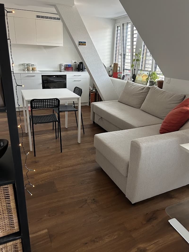 Cosy apartment for rent in central Zürich (1)