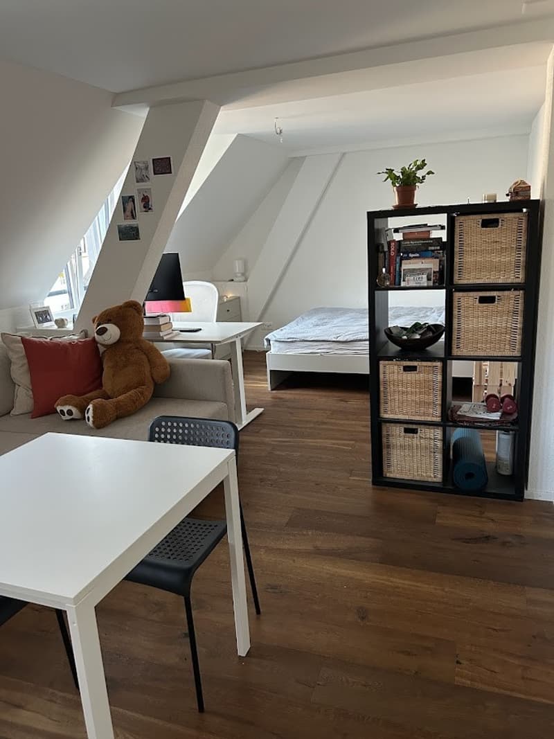 Cosy apartment for rent in central Zürich (2)