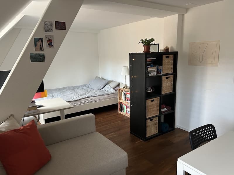 Cosy apartment for rent in central Zürich (4)