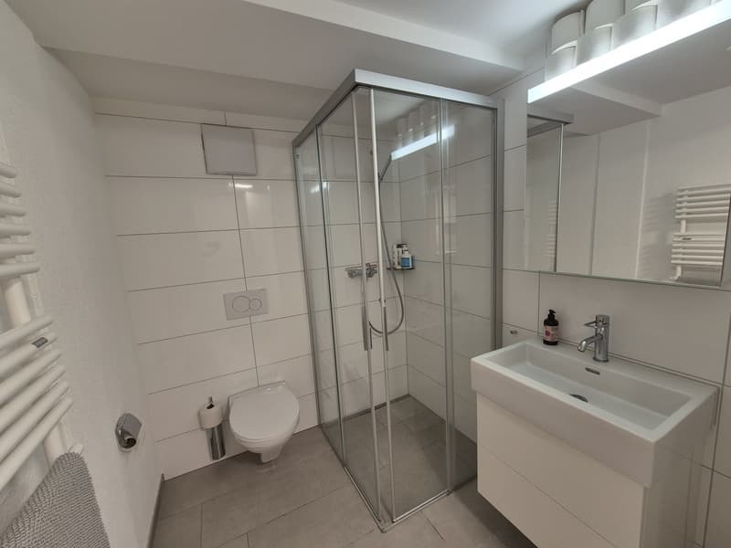Cosy apartment for rent in central Zürich (7)