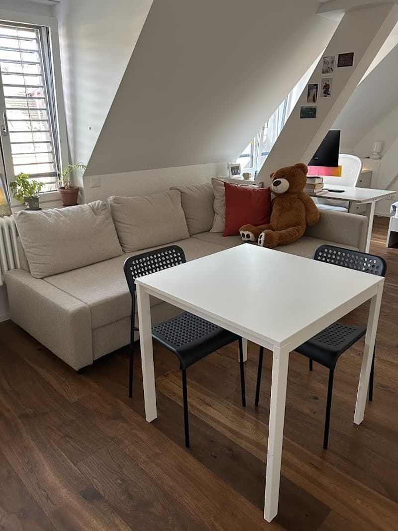 Cosy apartment for rent in central Zürich (3)