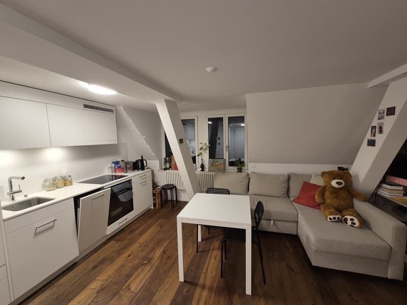 Cosy apartment for rent in central Zürich (5)