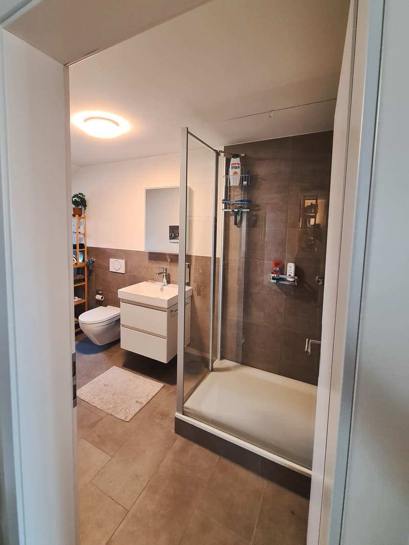 Befristete, Neuwertige 2-Zimmer-Wohnung, möbliert, mit Arbeitsplatz und Balkon in Bern (Sulgenau/Monbijou), Untermiete OktDez (6)
