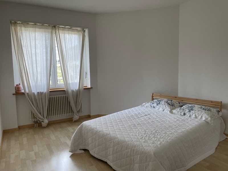 [sublet] 2.5 apartment in Wiedikon, 16.Jan - 30.Mar . (650 CHF /week) (3)