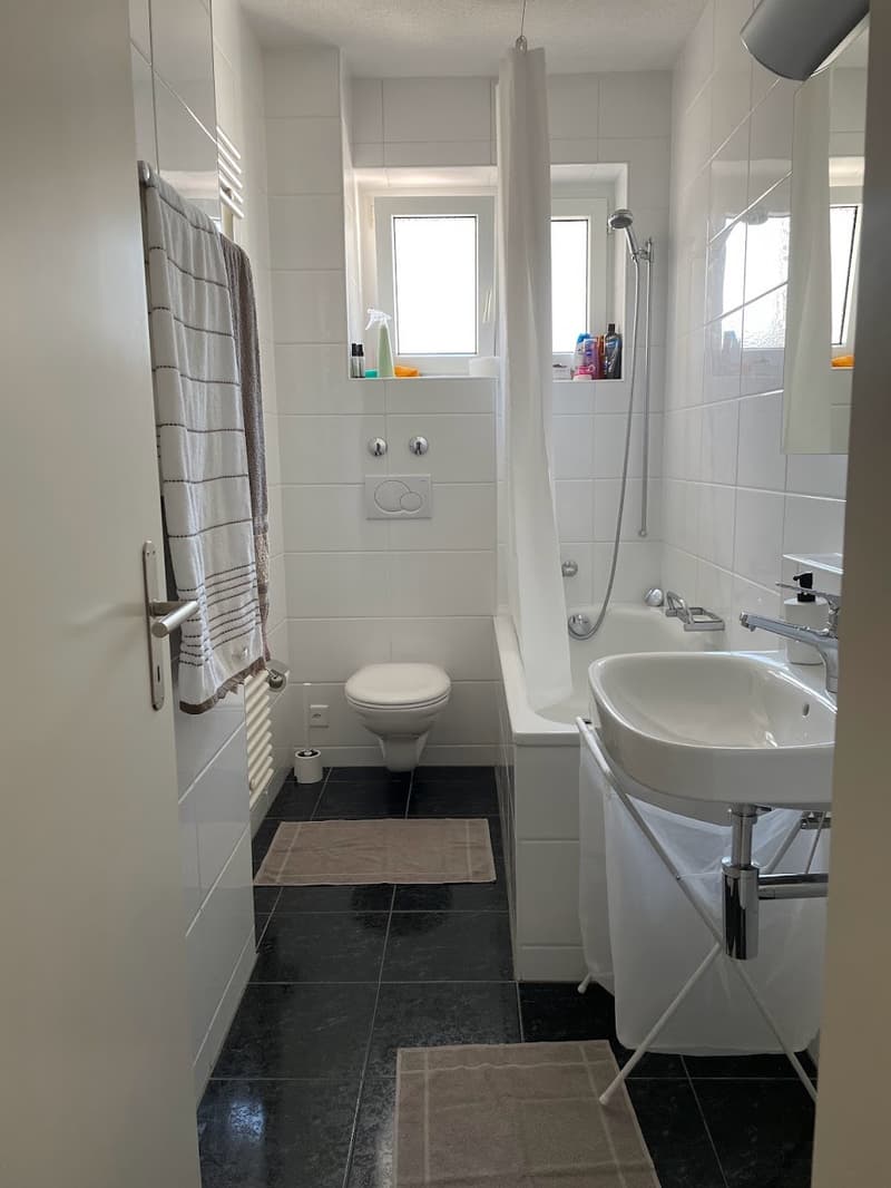[sublet] 2.5 apartment in Wiedikon, 16.Jan - 30.Mar . (650 CHF /week) (4)