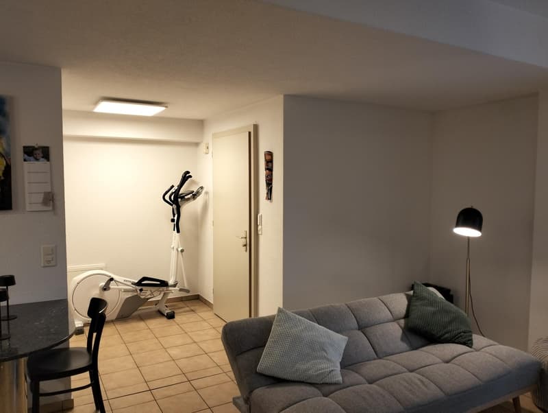 2.5 Zimmerwohnung in Arni (4)