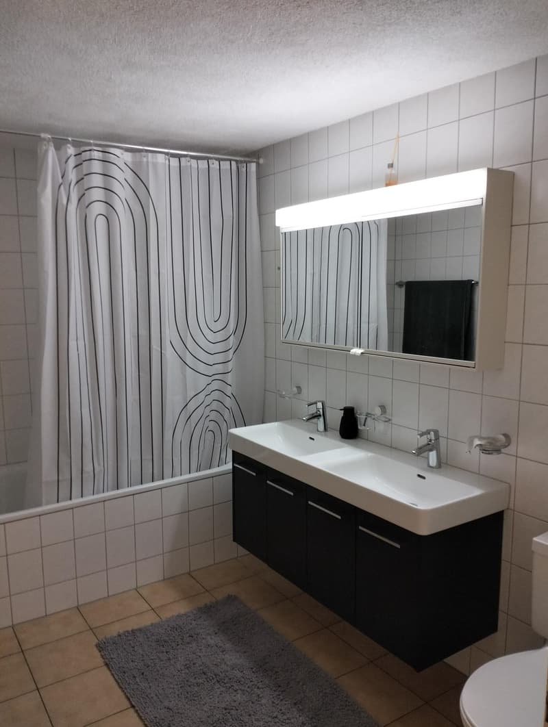 2.5 Zimmerwohnung in Arni (5)