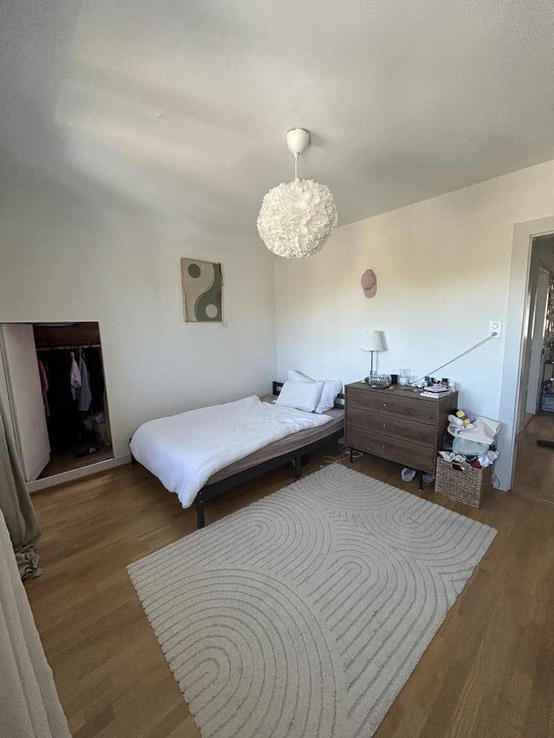 Gemütliches & helles WG-Zimmer zur Untermiete ab 1. Januar 2027 in Zürich (9)