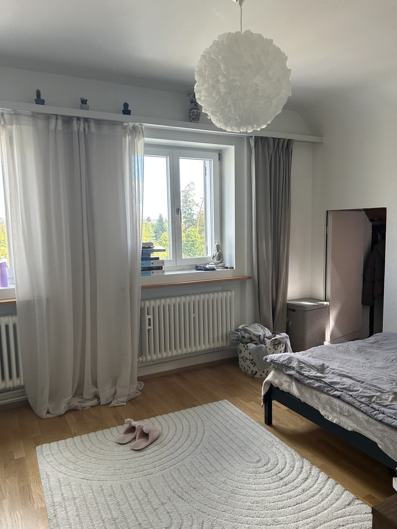 Gemütliches & helles WG-Zimmer zur Untermiete ab 1. Januar 2027 in Zürich (3)