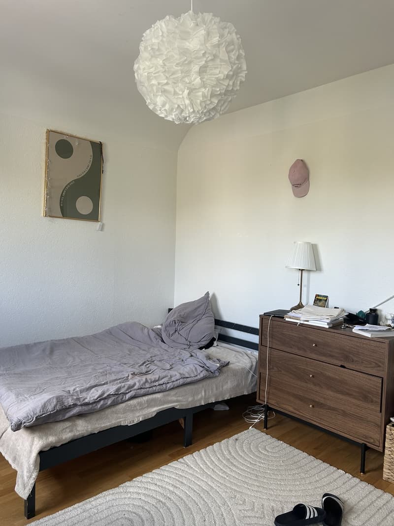 Gemütliches & helles WG-Zimmer zur Untermiete ab 1. Januar 2027 in Zürich (2)