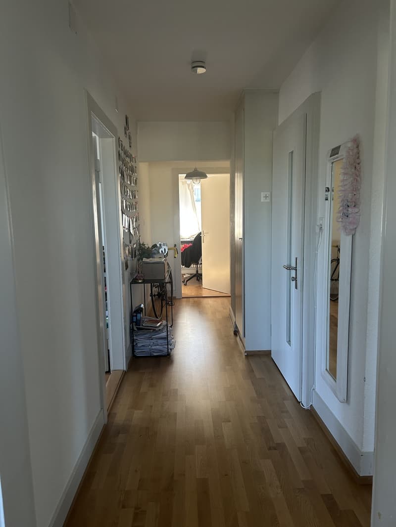 Gemütliches & helles WG-Zimmer zur Untermiete ab 1. Januar 2027 in Zürich (11)