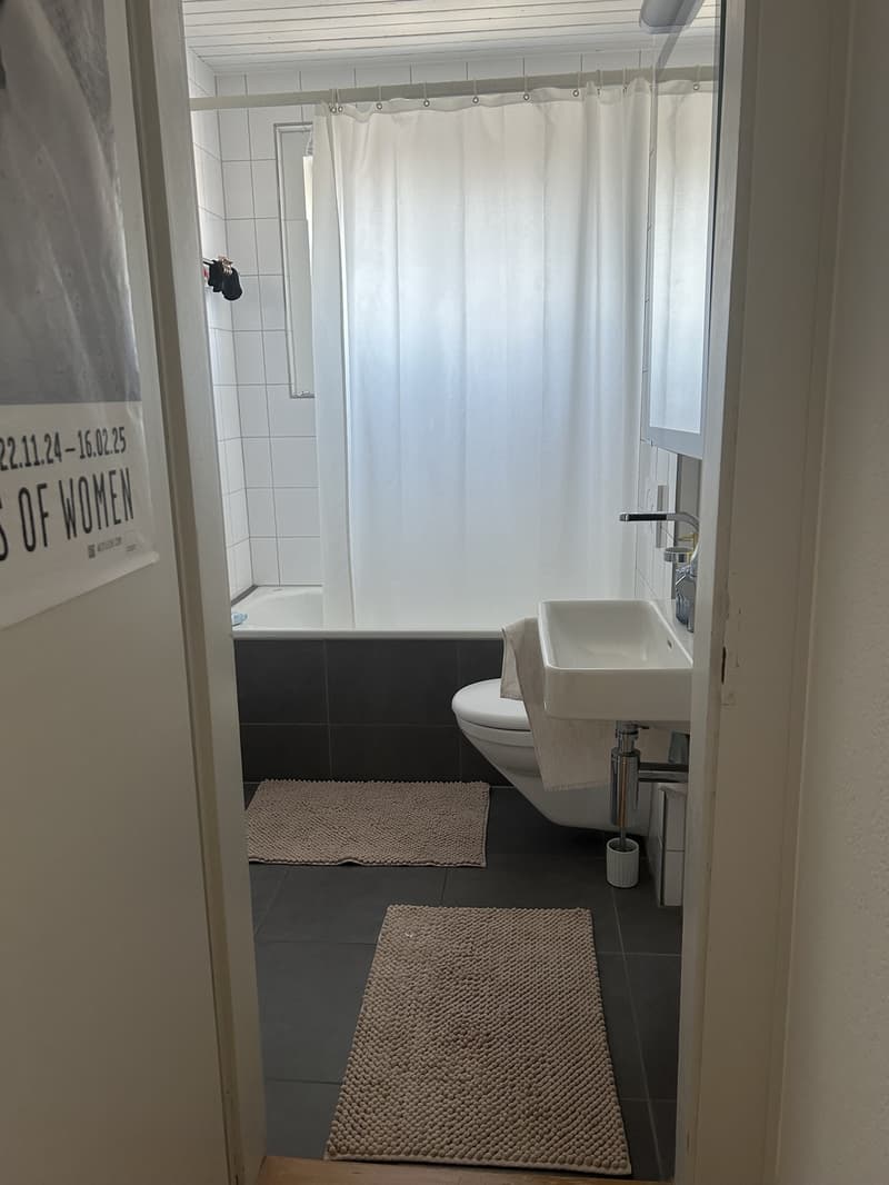 Gemütliches & helles WG-Zimmer zur Untermiete ab 1. Januar 2027 in Zürich (10)