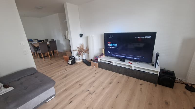 Gemütliche 3.5-Zimmer-Wohnung in ruhiger Lage in Rickenbach bei Wil (2)