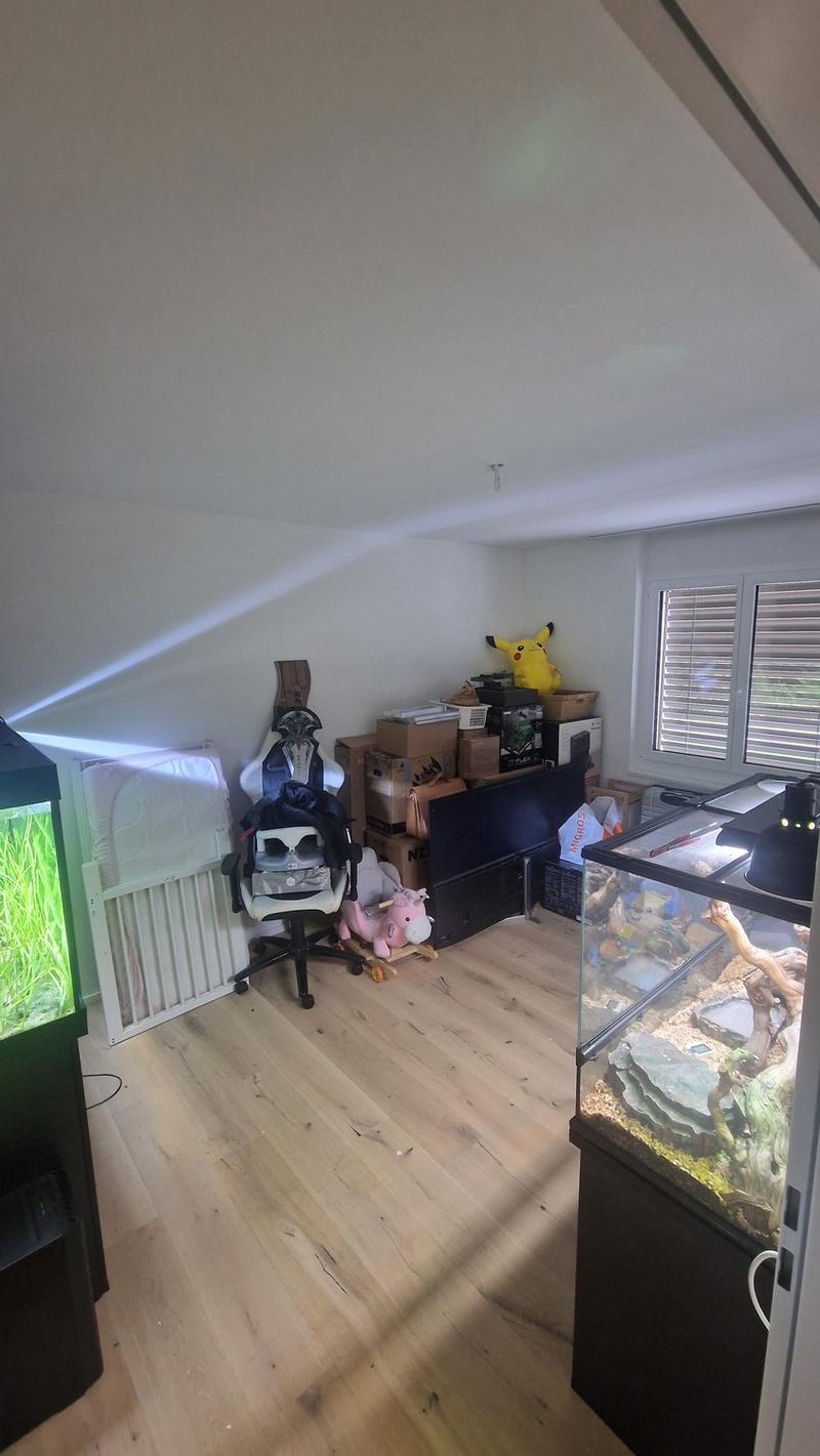 Gemütliche 3.5-Zimmer-Wohnung in ruhiger Lage in Rickenbach bei Wil (6)