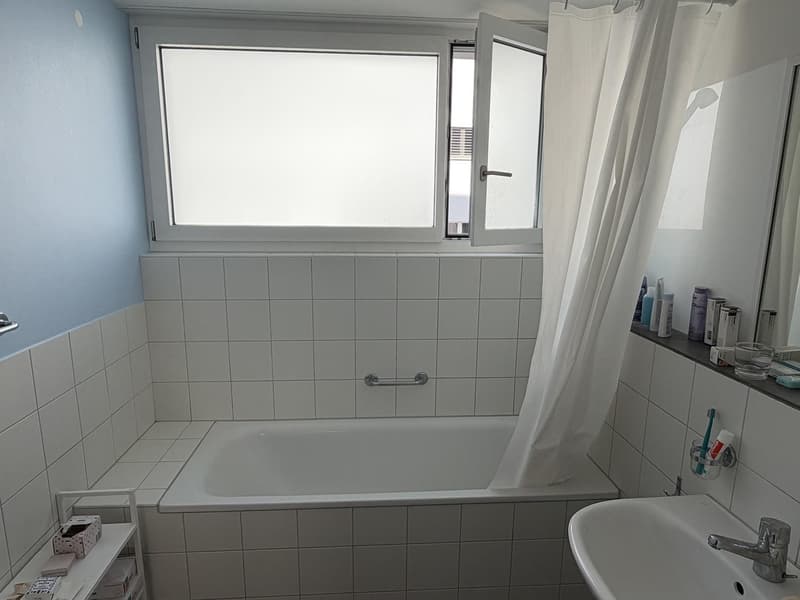Furnished room+WC in a 3.5 WG (Weekly tenants Welcome) (10)