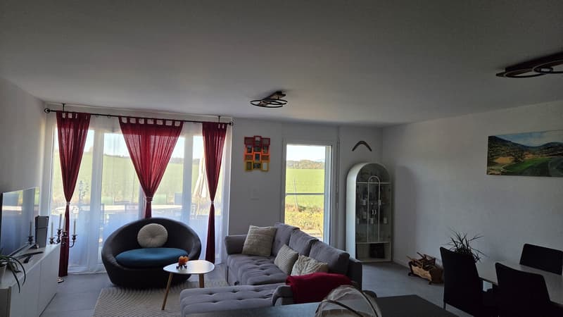 Reprise de bail d'un bel appartement dans le calme (2)