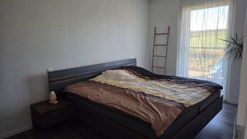 Reprise de bail d'un bel appartement dans le calme (3)