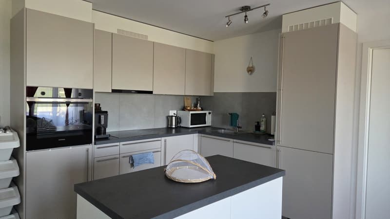 Reprise de bail d'un bel appartement dans le calme (1)