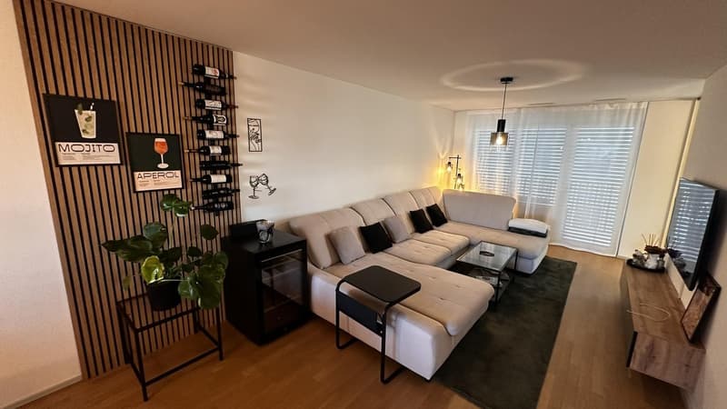 Nachmieter gesucht - 3.5-Zimmer-Wohnung in Dübendorf (1)
