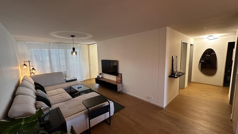 Nachmieter gesucht - 3.5-Zimmer-Wohnung in Dübendorf (3)