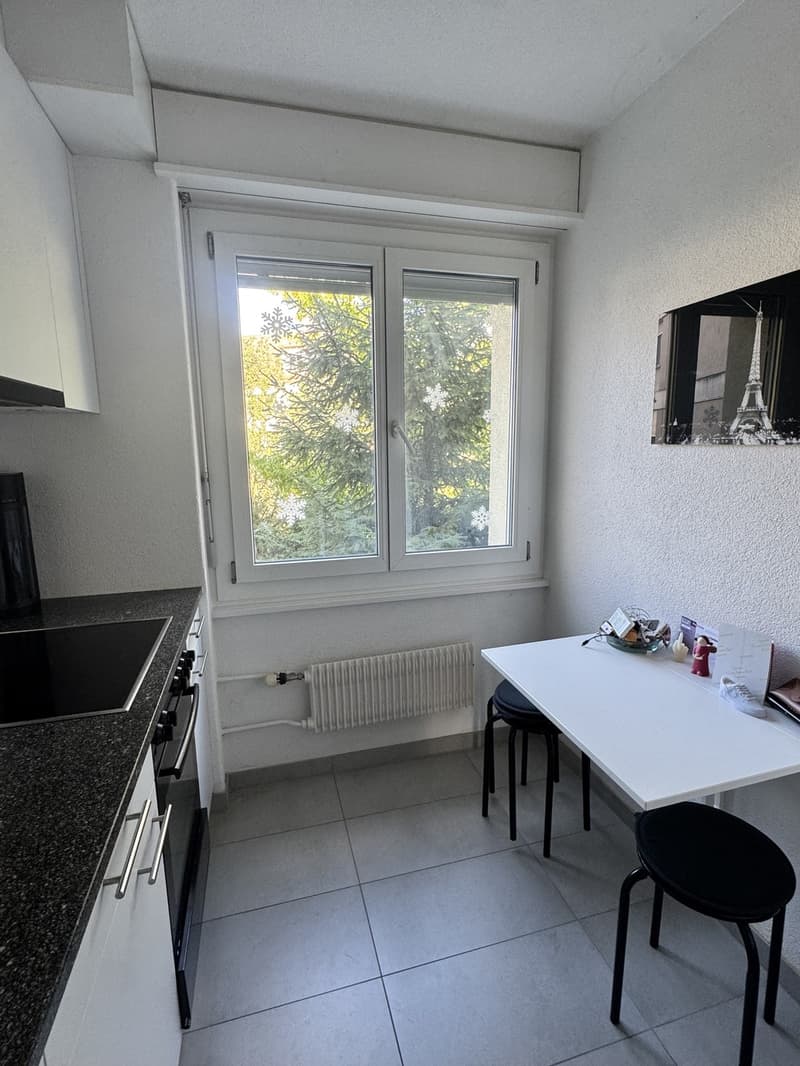 Untervermietung in Bern Bethlehem (9)