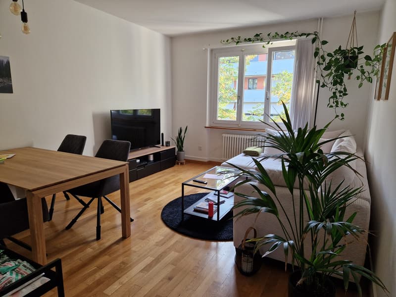 Möblierte 2.5-Zimmer-Wohnung nahe Rosengarten ab November 2026 bis Ende März 2027 (1)